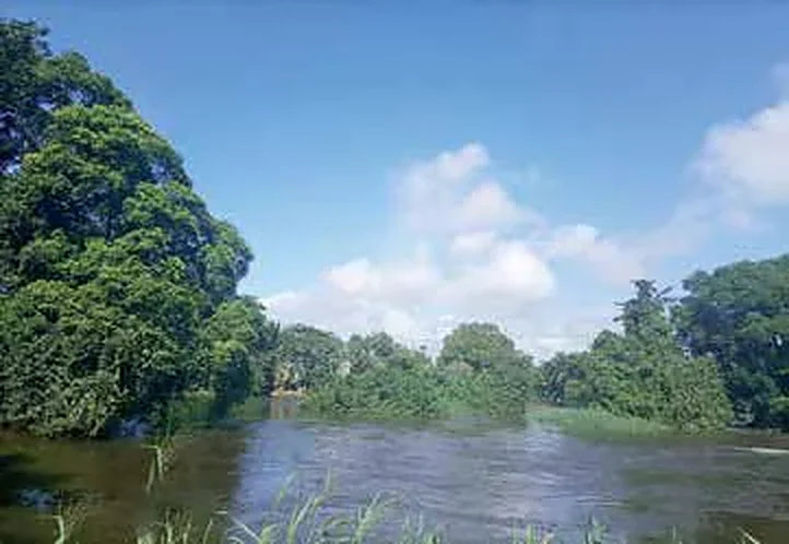 Le centre dans la ville de Kribi
